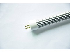 T5分体有哪些特征