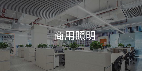 T5分体